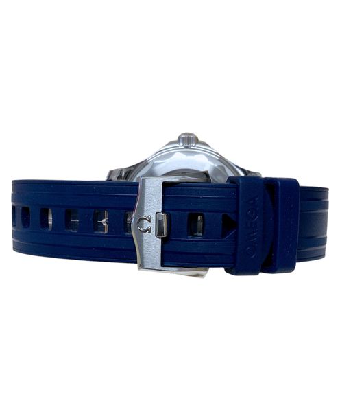 Omega Seamaster Diver 300m 210.32.42.20.03.001